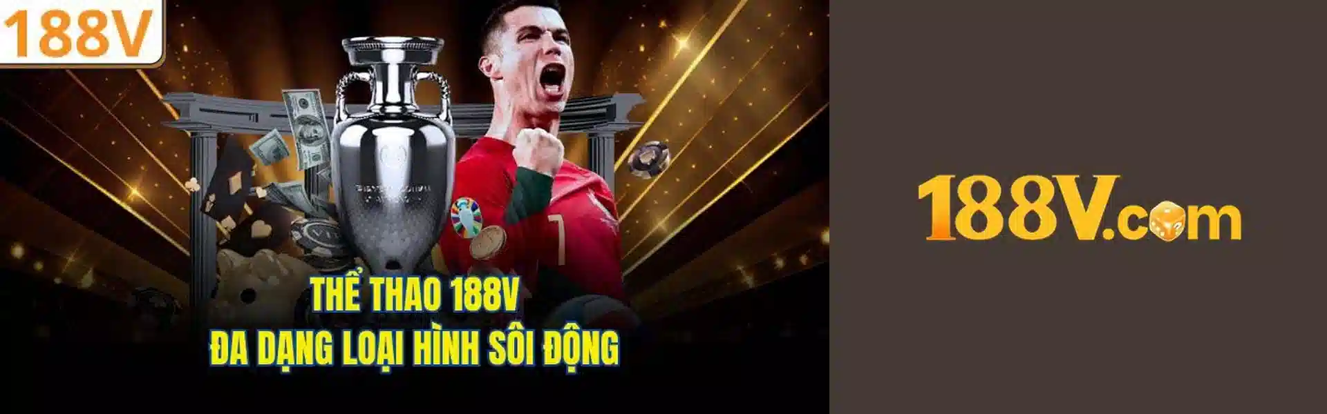 banner 188v 1