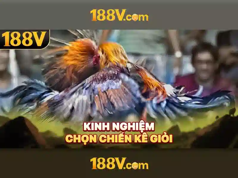 188v: Hành trình sáng tạo và ý nghĩa