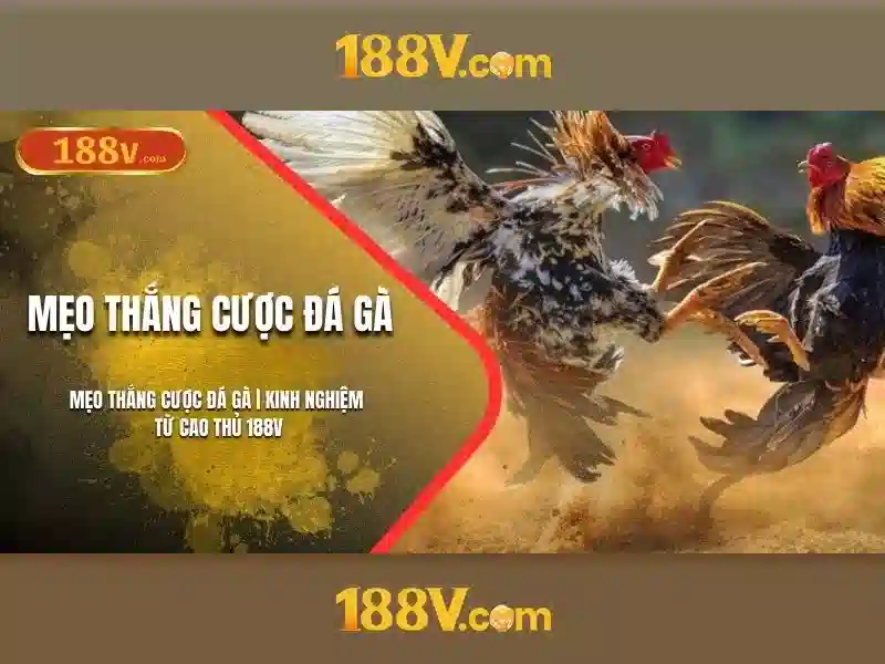 Khám phá 188v: một khái niệm thú vị trong đời sống hiện đại