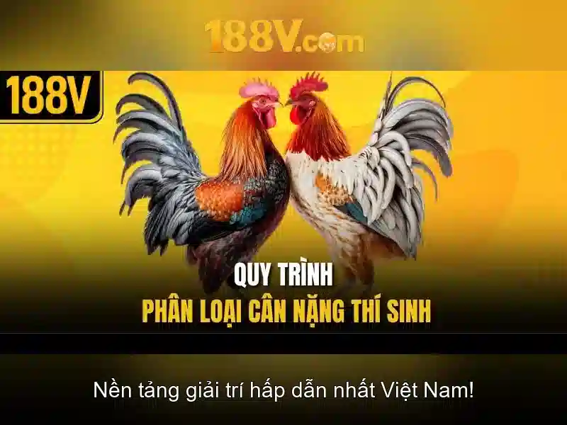 188v: hành trình khám phá sức mạnh tiềm ẩn