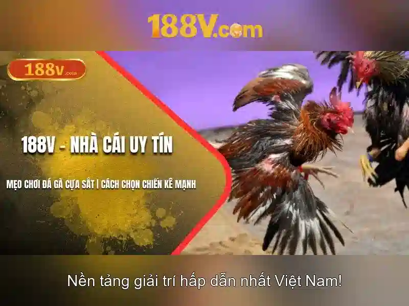 188v: Hành trình của một ký hiệu số