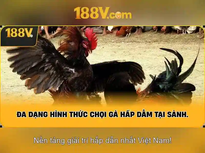 Khám phá 188v: ý nghĩa và tiềm năng