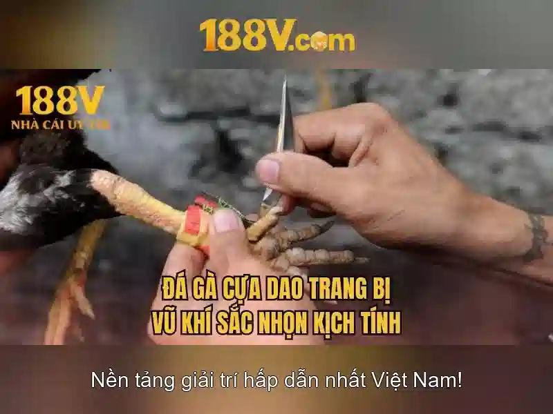 Khám phá 188v: một khái niệm mang lại tương lai